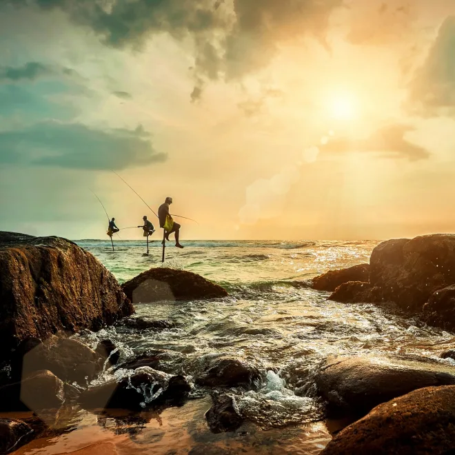 Coastal Paradise