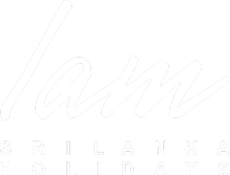 logo-image