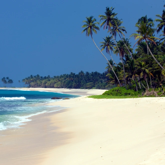 Bentota