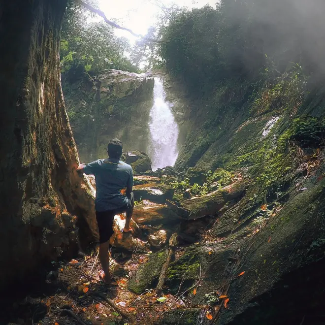Ceylon’s Green Heart