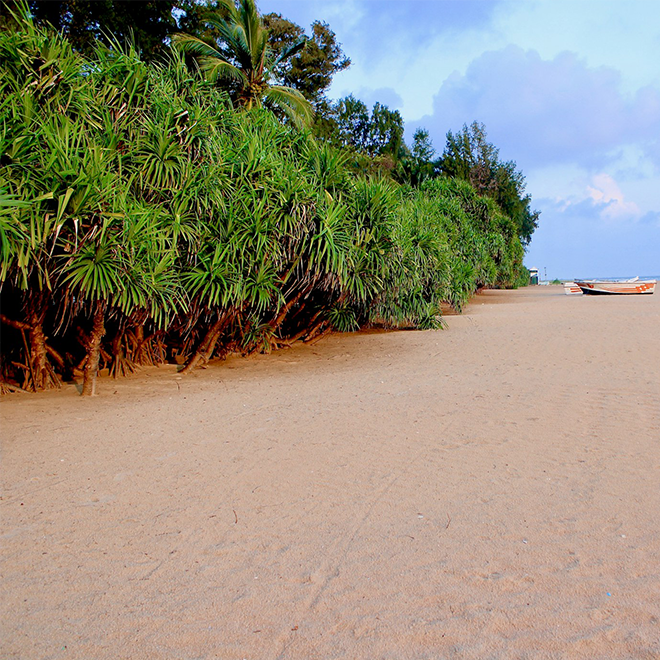 Trincomalee
