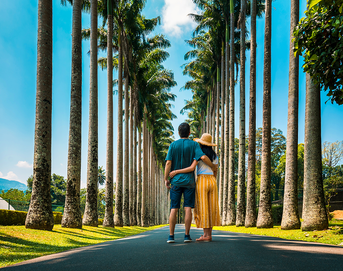 ⁠Iamsrilanka Luxe – Premium 4/5⭐ Luxury Stays