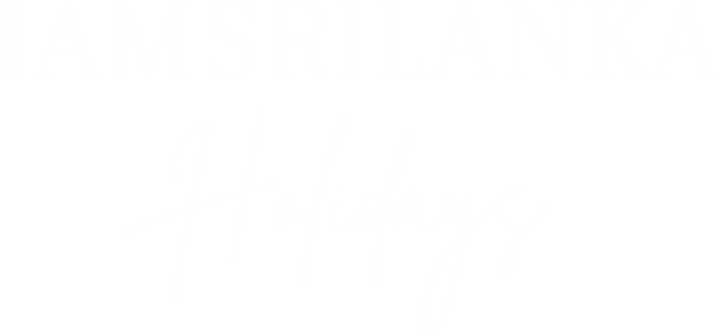 Main Logo