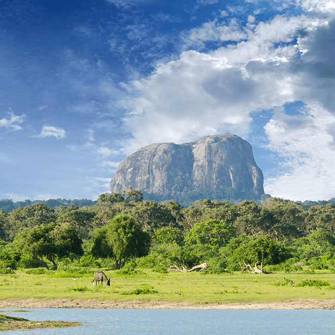 Hiking & Trekking in Sri Lanka