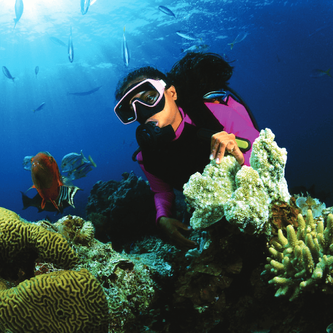 Diving in Sri Lanka